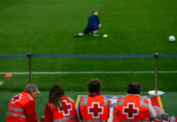 Nyderlanduose įkliuvo stadiono veją "patręšti" sumanęs fanas (FOTO)