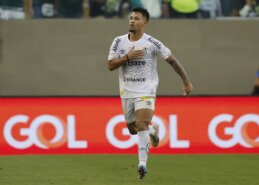 „Newcastle“ akiratyje – „Santos“ talentas