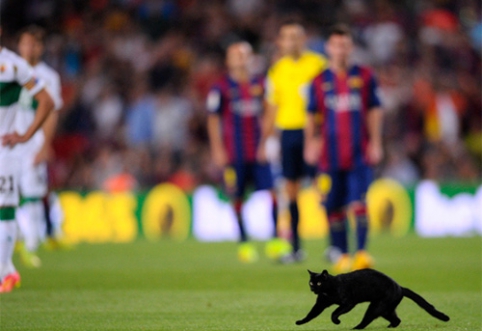 "Barcelona" 2014-2015 m. Juodosios katės sezonas. 1 dalis