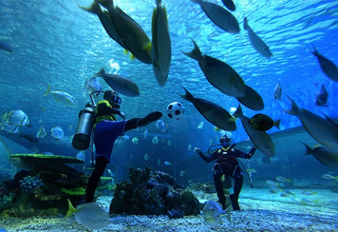 Keisčiausios vietos žaisti futbolą (FOTO, VIDEO)