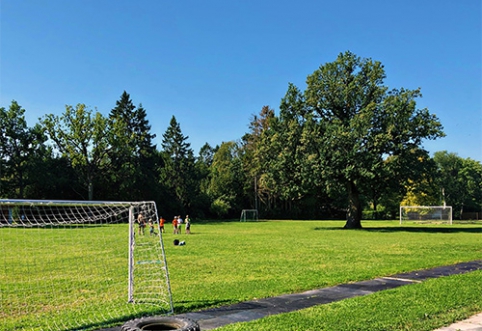 Lietuvis ragina aplankyti ypatingą futbolo aikštę Estijoje