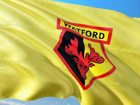 „Watford“ klube – trys koronaviruso atvejai