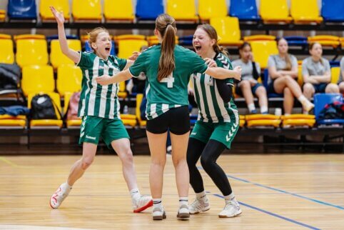 Įpusėjo „LadyGolas“ regioninių finalų maratonas