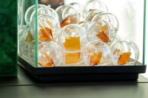 LFF taurės turnyre paaiškėjo aštuntfinalio etapo poros