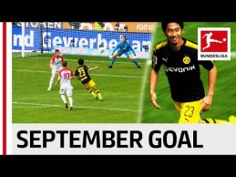 "Bundesliga" mėnesio įvartis: nepriekaištingas S. Kagawa smūgis